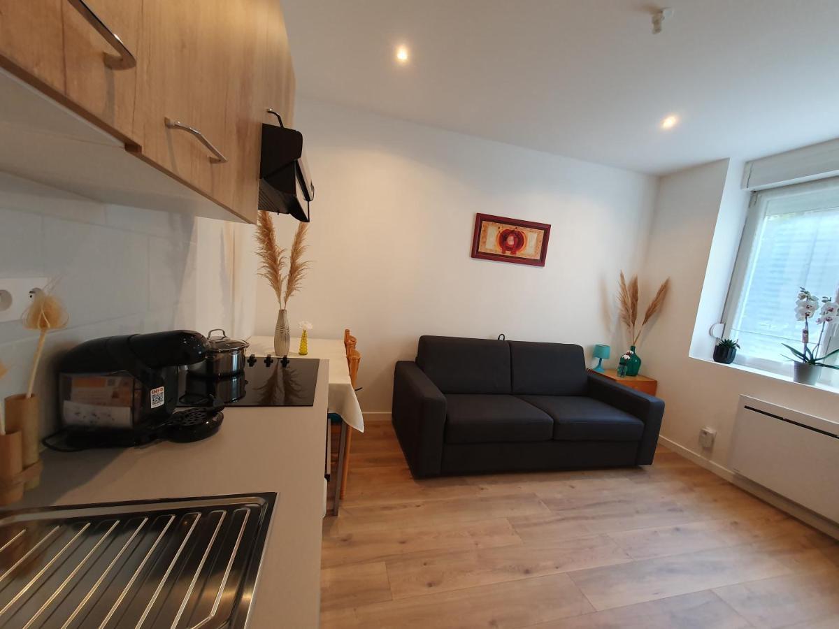 Appartement Savane Nancy Exteriér fotografie